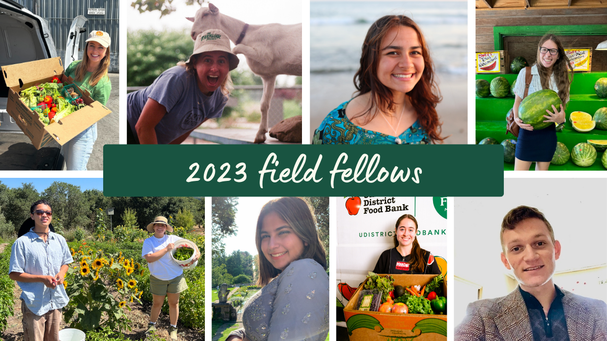 Cheese Caves and Food Surpluses Why the U.S. Government currently